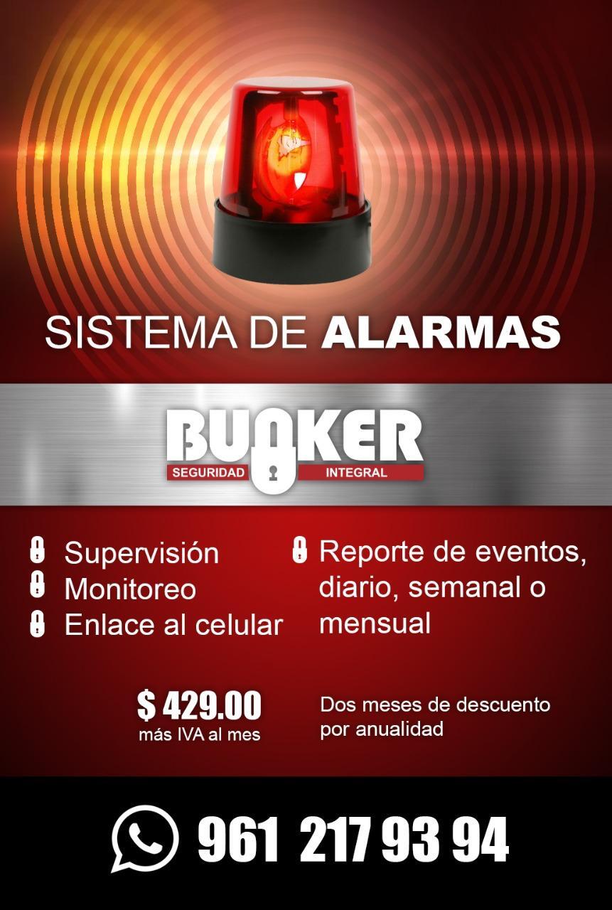 WhatsApp Image 2025-10-17 at 1.50.19 PM (1)