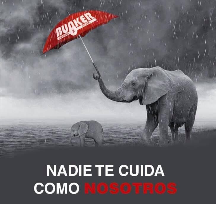 WhatsApp Image 2025-10-17 at 2.00.22 PM